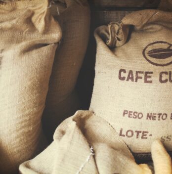 Torréfier le café : les secrets pour maîtriser l’art de la torréfaction