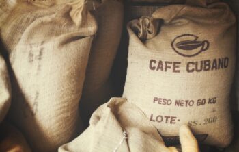 Torréfier le café : les secrets pour maîtriser l’art de la torréfaction
