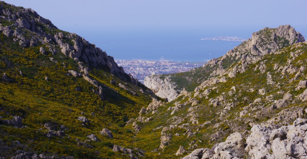 La recette de lessive maison au savon de Marseille pour une alternative écologique et économique
